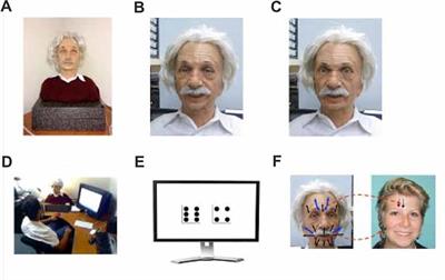 Behind the Robot’s Smiles and Frowns: In Social Context, People Do Not Mirror Android’s Expressions But React to Their Informational Value